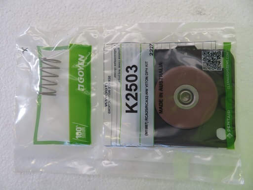 [(M1887) RCA25/RCA32-NW VITON DPH KIT] K2503